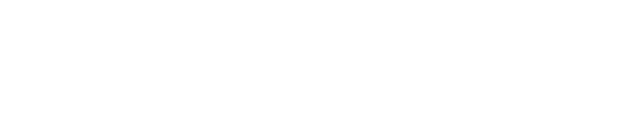 BizPT